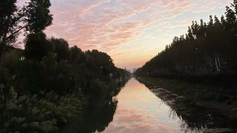 创业公司税务筹划与财务合规：如何平衡风险与效益**
